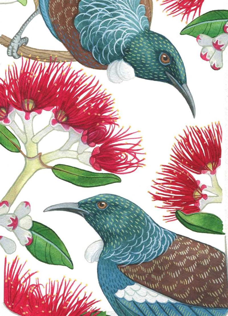 Lens Cloth Pohutukawa & Tui