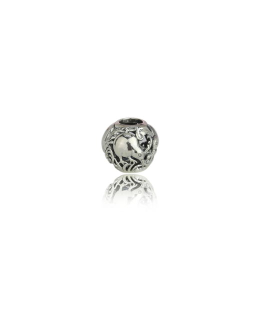 Charm Save The Kiwi Stg. Silver