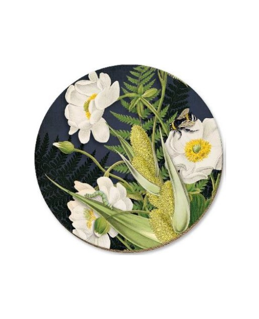 Coaster Mt Cook Lily on Black