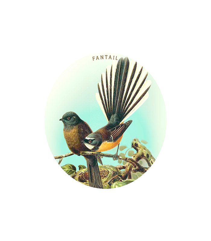 Coaster Fantail - Ceramic
