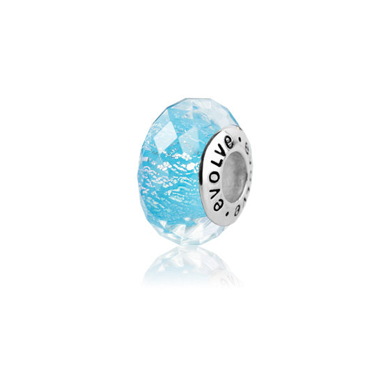 Charm NZ Glaciers