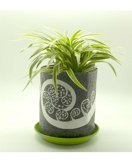 Growbag Fern Frond on Mid Grey