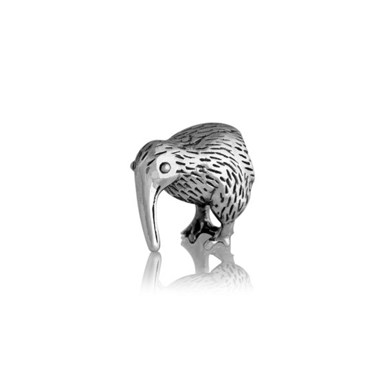 Charm Kiwi (Endangered Flightless bird)