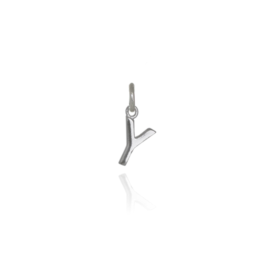 Charm Letter Y