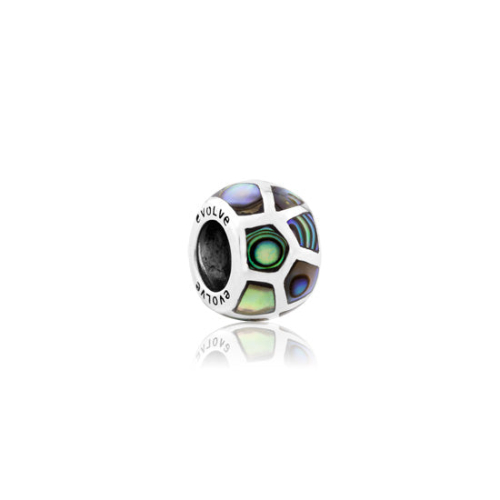 Charm Treasured Paua