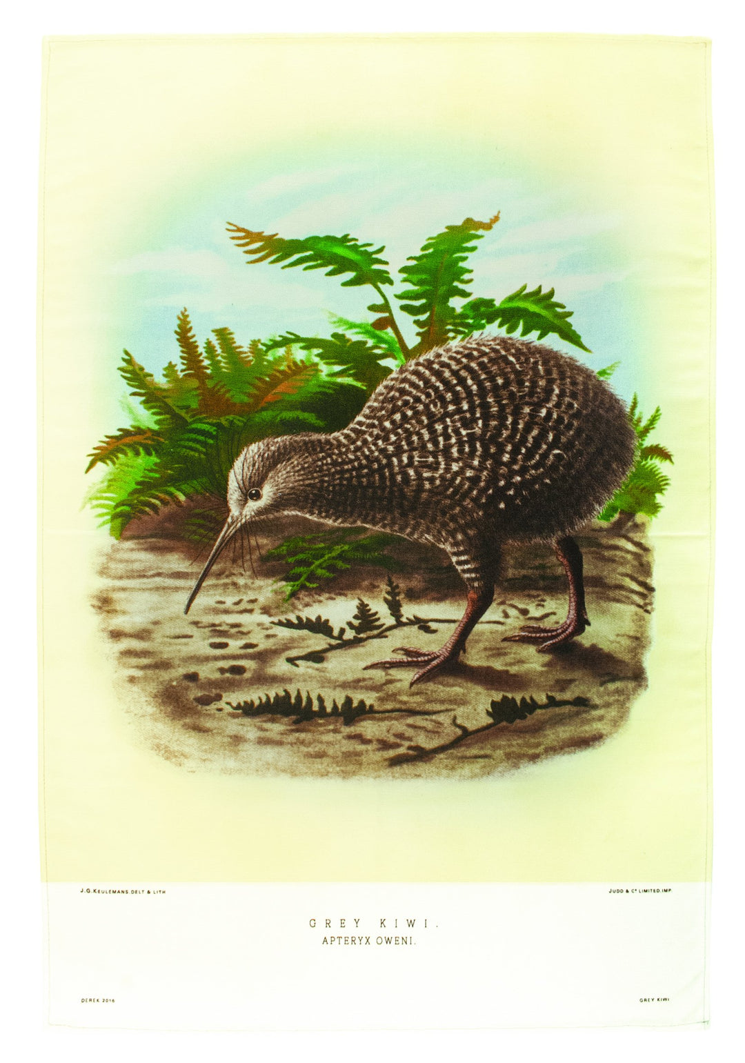 Tea Towel Kiwi