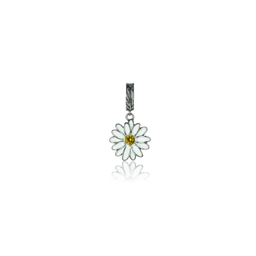Charms
