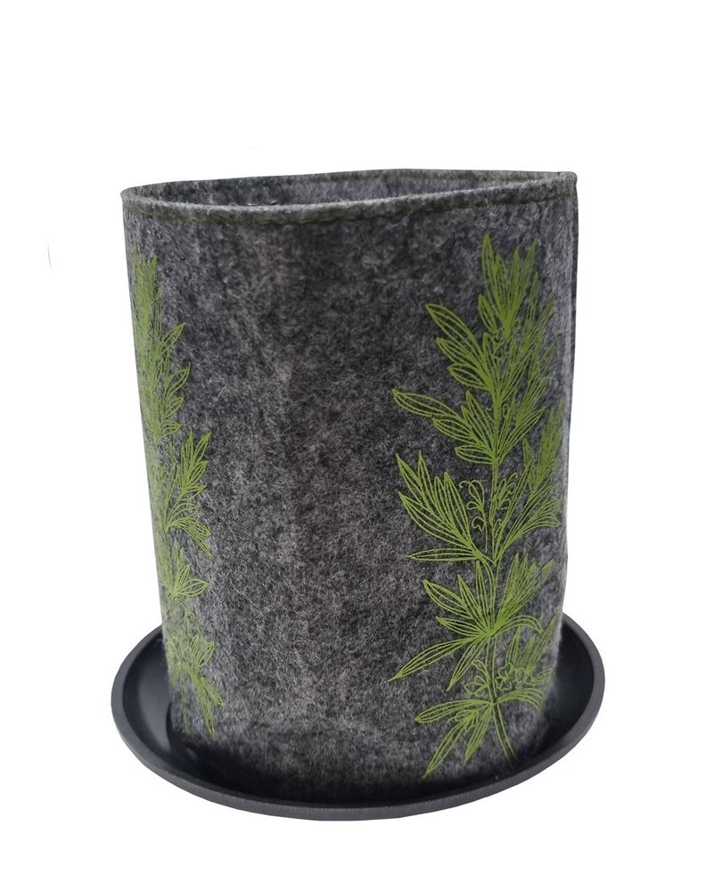 Growbag Rosemary Green on Grey