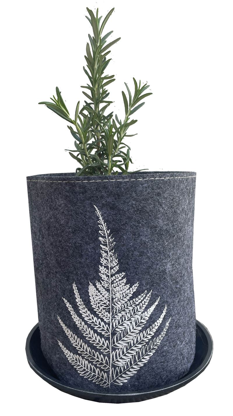 Growbag Silver Ferns on Mid Grey