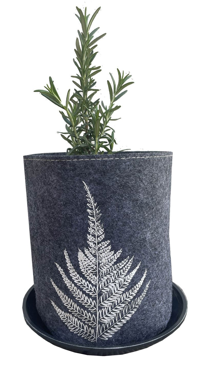 Growbag Silver Ferns on Mid Grey