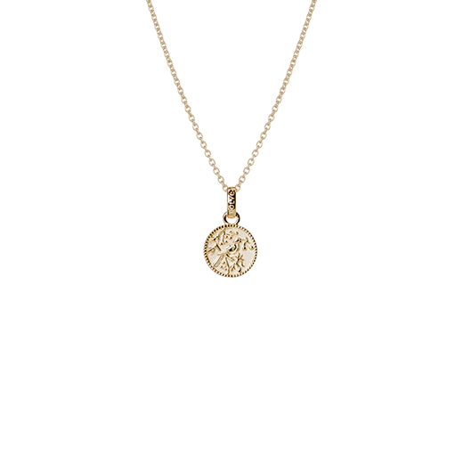 Tui Coin Necklace (Admired) - Gold