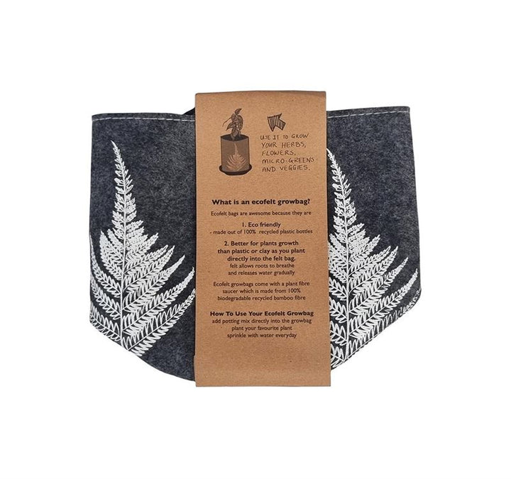 Growbag Silver Ferns on Mid Grey