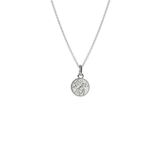 Tui Coin Necklace (Admired)