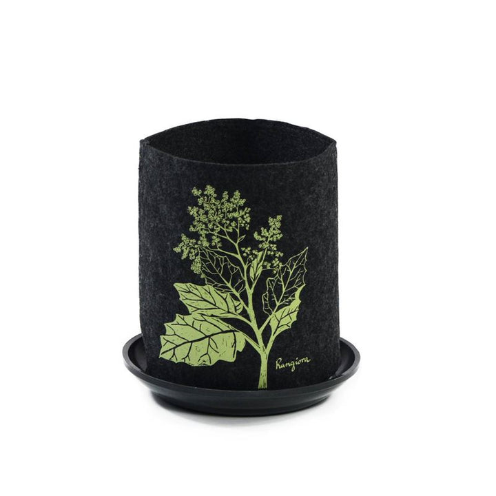 Growbag Rangiora on Dark Grey