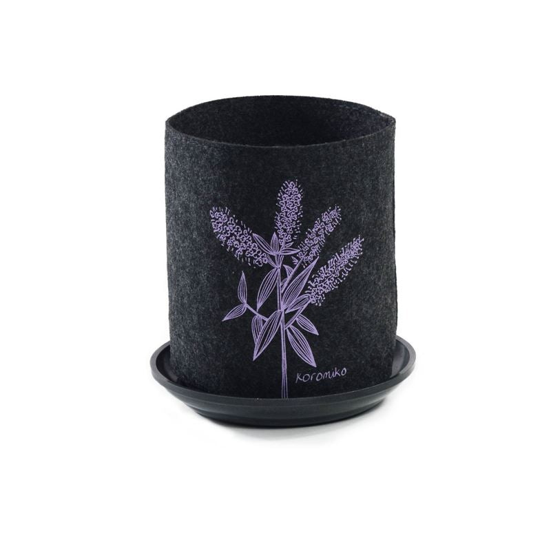 Growbag Koromiko on Dark Grey