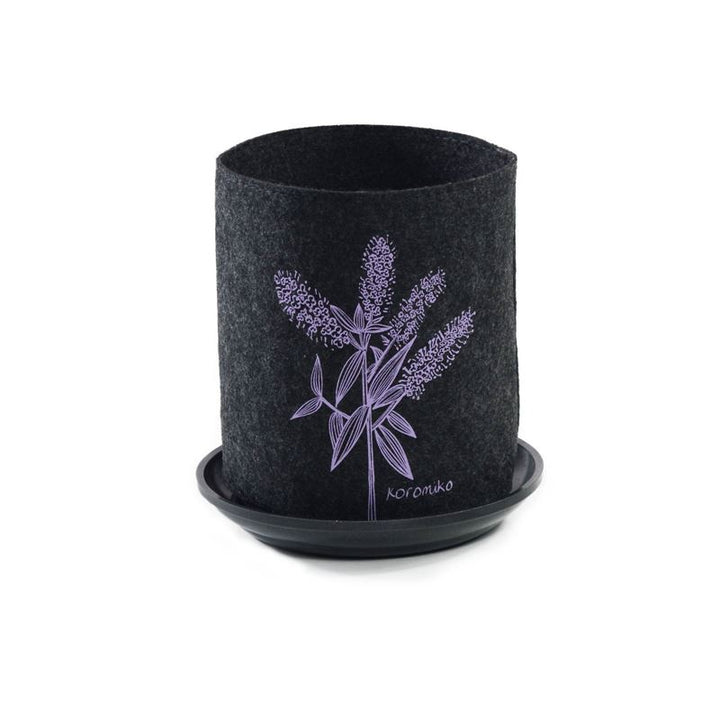 Growbag Koromiko on Dark Grey