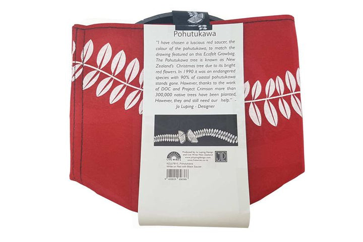 Growbag White Pohutukawa on Red