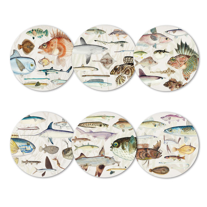 Fishes of NZ Set of 6 Placemats