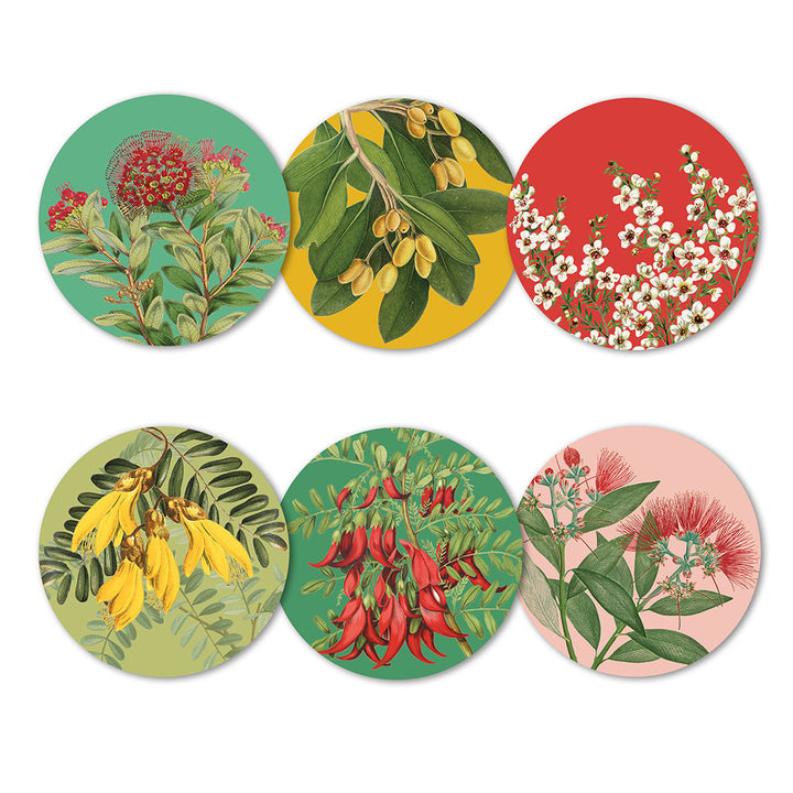 Native Botanicls of NZ Set of 6 Coasters