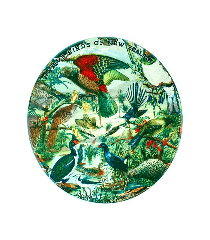 Coaster Native Birds NZ - Ceramic