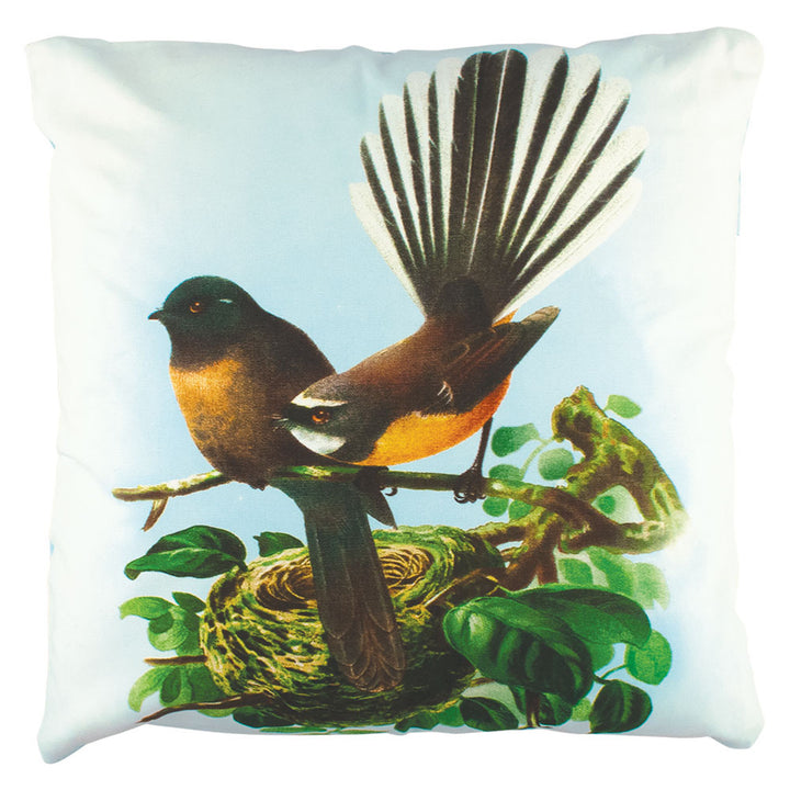 Cushion Fantail