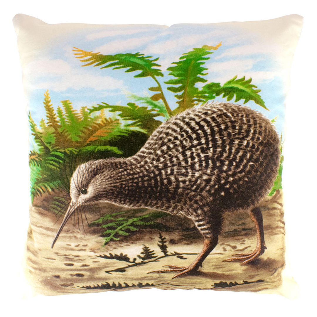 Cushion Kiwi