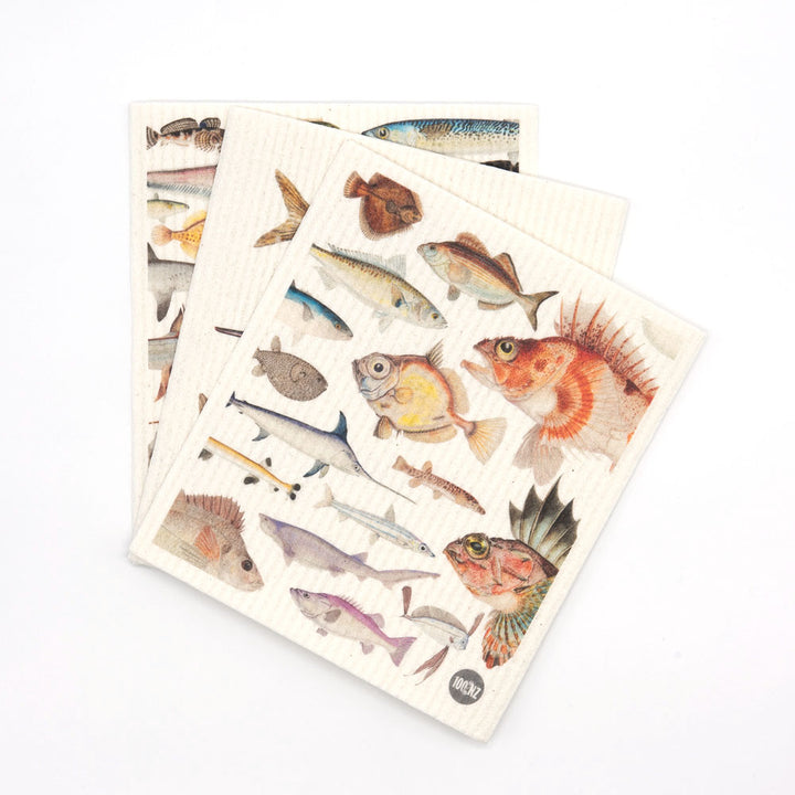 Swedish Discloths - Fishes of NZ