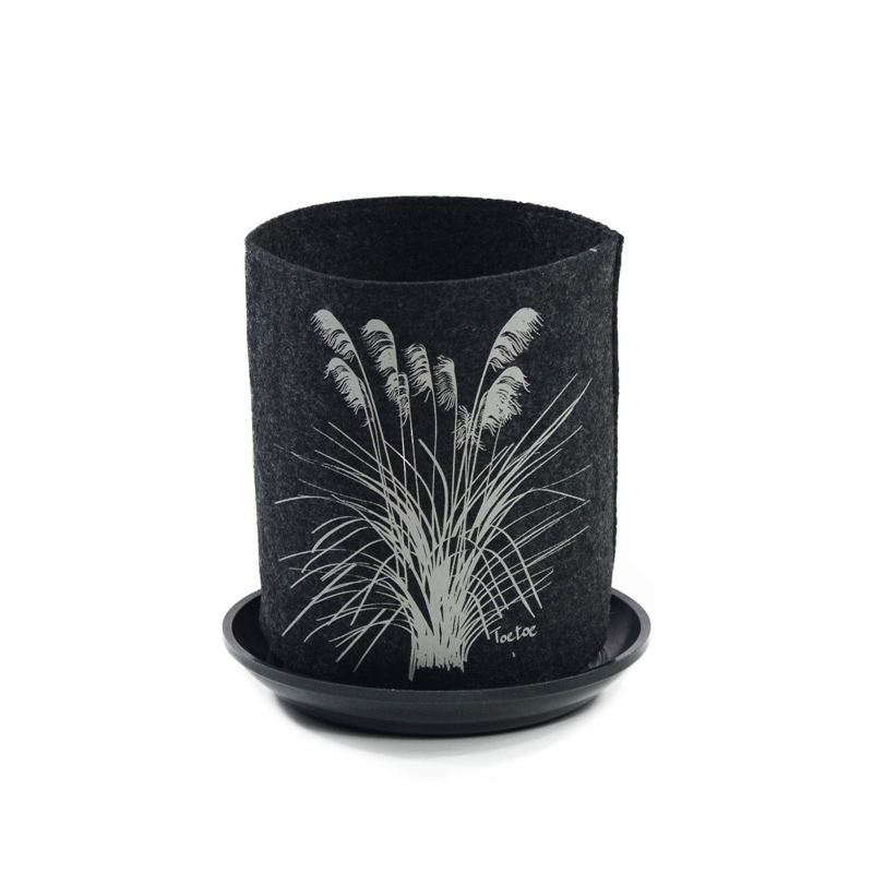 Growbag Toetoe on Dark Grey