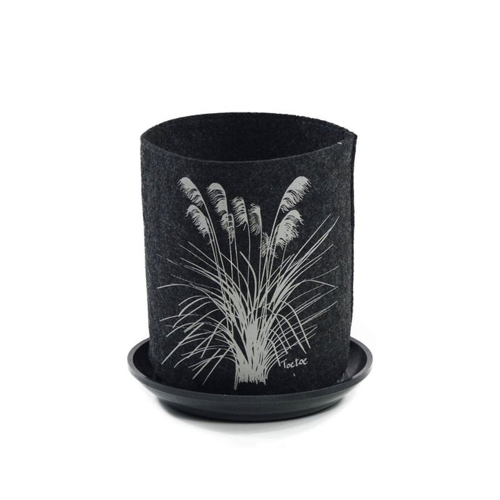 Growbag Toetoe on Dark Grey