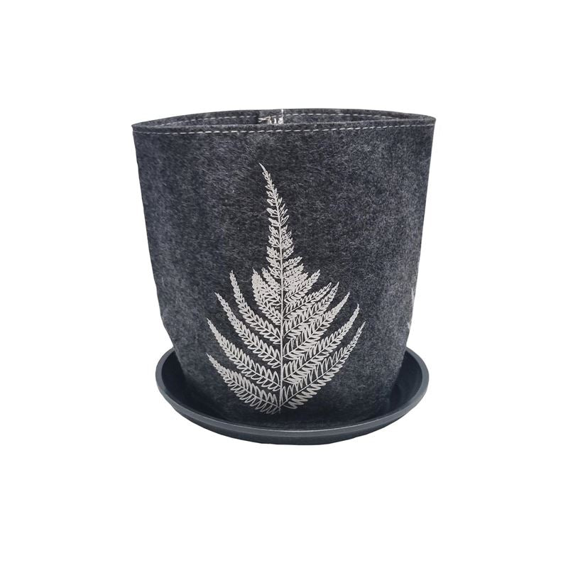 Growbag Silver Ferns on Mid Grey