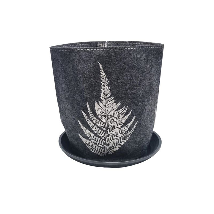 Growbag Silver Ferns on Mid Grey