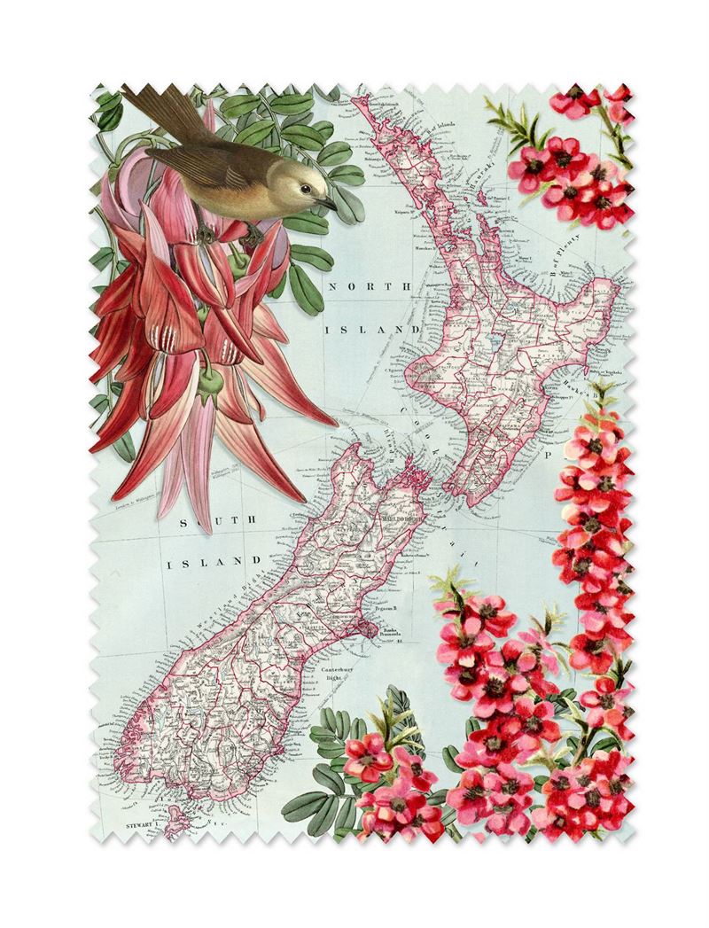 Lens Cloth Map of NZ